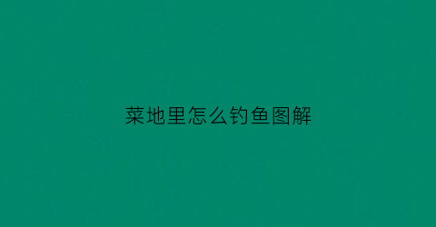 菜地里怎么钓鱼图解(菜地怎么弄)