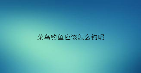 菜鸟钓鱼应该怎么钓呢(菜鸟钓鱼应该怎么钓呢视频)