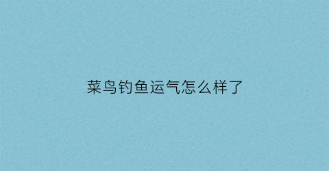 菜鸟钓鱼运气怎么样了(菜鸟钓鱼运气怎么样了视频)