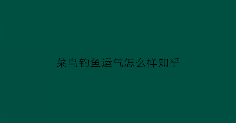 菜鸟钓鱼运气怎么样知乎