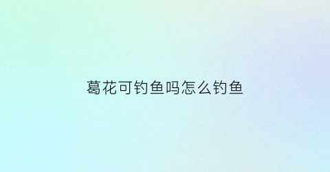 葛花可钓鱼吗怎么钓鱼