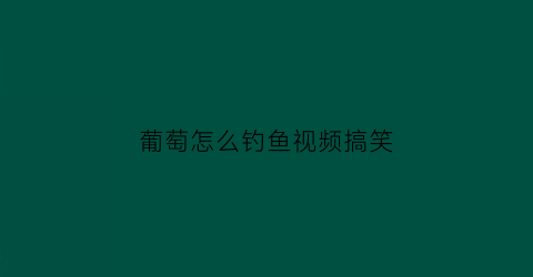 葡萄怎么钓鱼视频搞笑(用葡萄钓鱼怎么调漂)