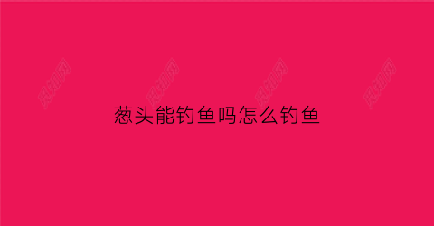 葱头能钓鱼吗怎么钓鱼(葱可以钓鱼吗)