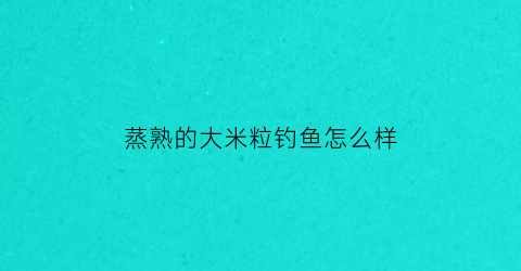 蒸熟的大米粒钓鱼怎么样(蒸熟的大米粒钓鱼怎么样好用吗)