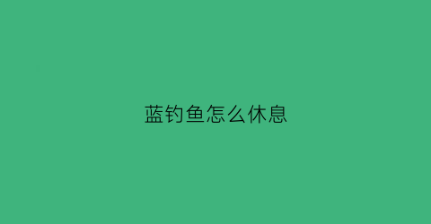 “蓝钓鱼怎么休息(蓝钓多少一条)