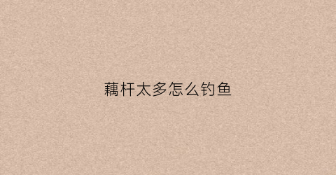 藕杆太多怎么钓鱼(什么是藕杆)
