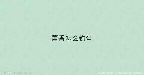 藿香怎么钓鱼(藿香怎么钓鱼效果好)
