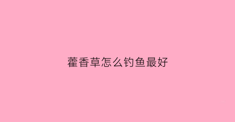 藿香草怎么钓鱼最好(广藿香钓鱼)