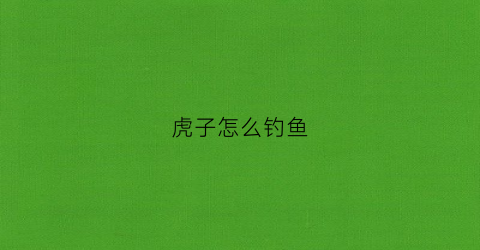 虎子怎么钓鱼(虎鱼训饵)