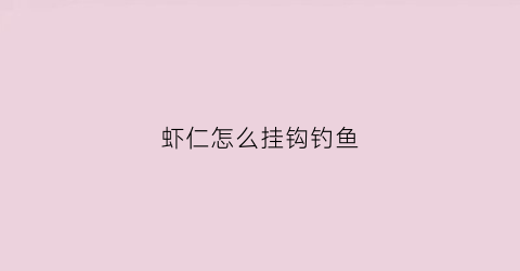 虾仁怎么挂钩钓鱼(秘制虾仁钓饵让你永不空军)