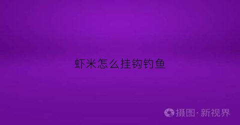 虾米怎么挂钩钓鱼(虾米怎么挂钩钓鱼视频)