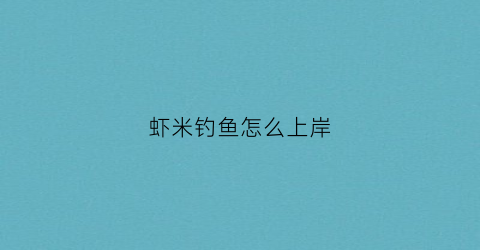 虾米钓鱼怎么上岸(虾米钓鱼怎么上岸视频)