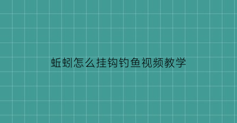蚯蚓怎么挂钩钓鱼视频教学(蚯蚓钓鱼如何挂钩视频)