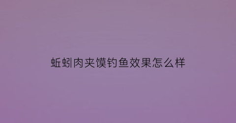 蚯蚓肉夹馍钓鱼效果怎么样