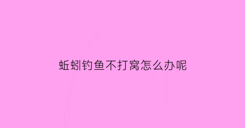 蚯蚓钓鱼不打窝怎么办呢