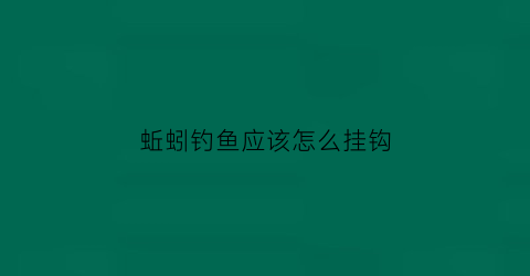 蚯蚓钓鱼应该怎么挂钩(蚯蚓钓鱼怎么挂钩铅坨离钩多少)