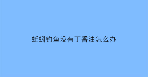 蚯蚓钓鱼没有丁香油怎么办