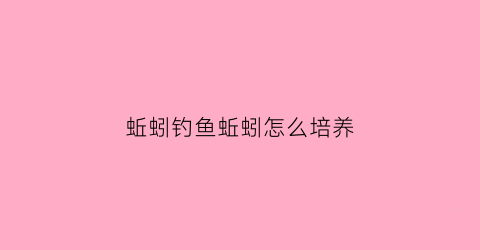 蚯蚓钓鱼蚯蚓怎么培养(蚯蚓钓鱼技术)