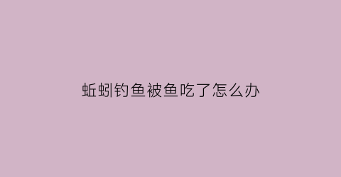 蚯蚓钓鱼被鱼吃了怎么办(蚯蚓被吃完了却不见鱼上钩)