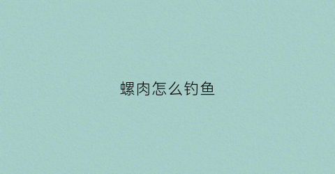 螺肉怎么钓鱼(螺肉怎么钓鱼效果好)