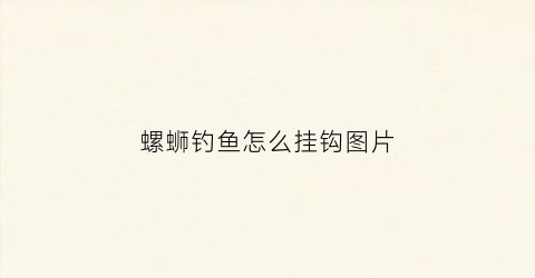 螺蛳钓鱼怎么挂钩图片