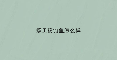 螺贝粉钓鱼怎么样(螺贝怎么吃)