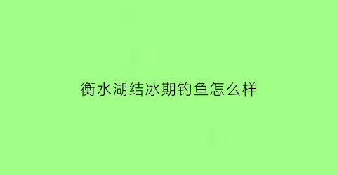 衡水湖结冰期钓鱼怎么样