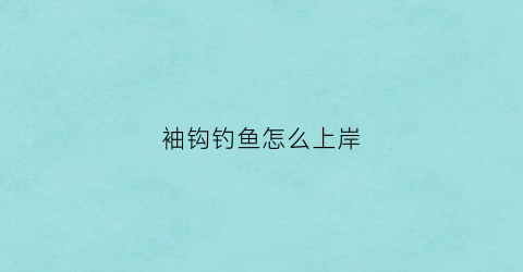 袖钩钓鱼怎么上岸(袖钩钓大鱼)