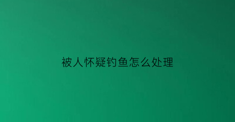 被人怀疑钓鱼怎么处理(被钓鱼了怎么反击)