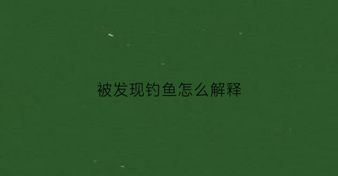 被发现钓鱼怎么解释(发现自己被钓鱼了怎么办)