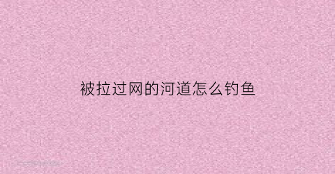 “被拉过网的河道怎么钓鱼(河里拉网拉鱼可以吗)