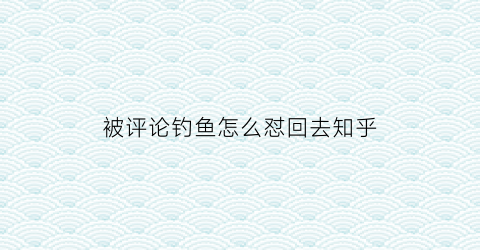 “被评论钓鱼怎么怼回去知乎(别人发钓鱼朋友圈我怎么评论)