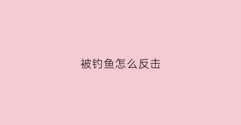被钓鱼怎么反击(被钓鱼怎么办)