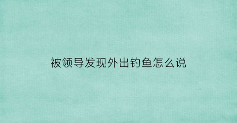 “被领导发现外出钓鱼怎么说(被领导发现外出钓鱼怎么说话)