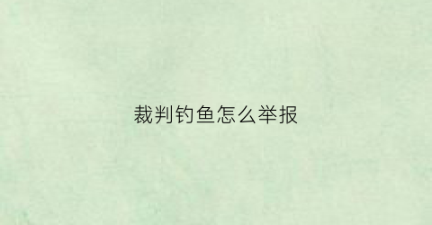 裁判钓鱼怎么举报(钓鱼比赛裁判工作流程)