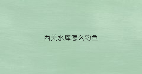 西关水库怎么钓鱼(西关水电站)