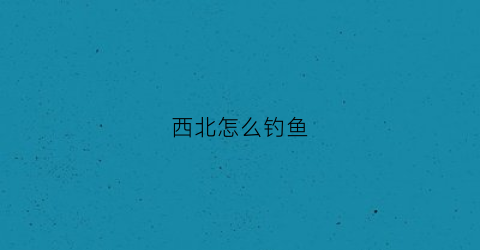 西北怎么钓鱼(西北地区钓鱼用什么饵料)
