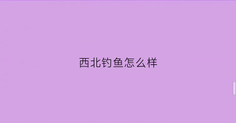 西北钓鱼怎么样(西北风钓鱼哪个位置好)