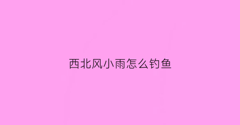 西北风小雨怎么钓鱼(西北风有没有鱼钓)