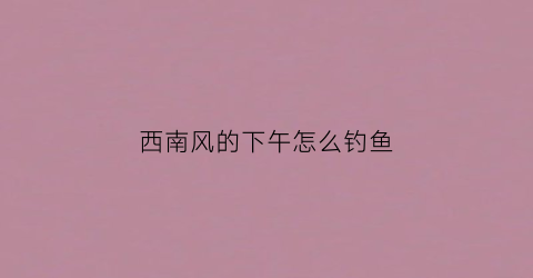 西南风的下午怎么钓鱼(西南风如何钓鱼)