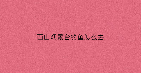 西山观景台钓鱼怎么去(西山景区入口)
