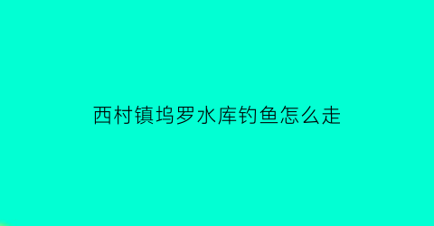 西村镇坞罗水库钓鱼怎么走(西村镇坞罗村村委办公室电话)