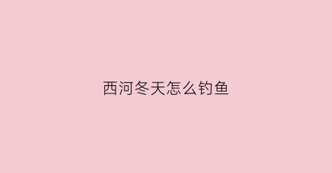 西河冬天怎么钓鱼(西河野钓)