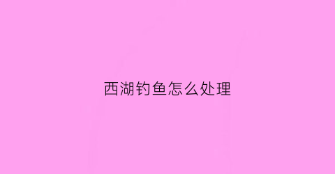 西湖钓鱼怎么处理(西湖边钓鱼)