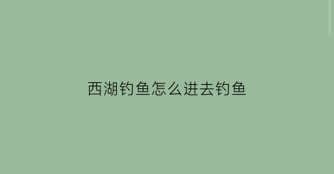 西湖钓鱼怎么进去钓鱼(西湖钓鱼怎么进去钓鱼的地方)