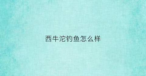 西牛沱钓鱼怎么样(西牛沱古镇在重庆哪里)