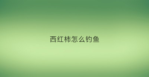 西红柿怎么钓鱼(小西红柿钓草鱼)