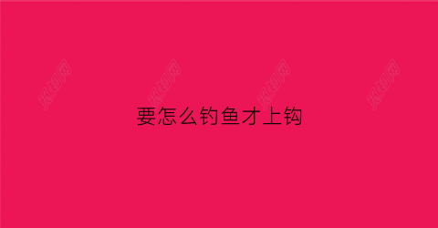要怎么钓鱼才上钩(怎样上钓鱼钩)