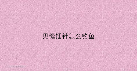 见缝插针怎么钓鱼(见缝插针的人能成大事吗)
