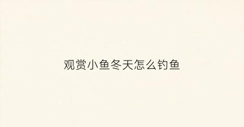 观赏小鱼冬天怎么钓鱼(观赏鱼冬天需要喂食么)